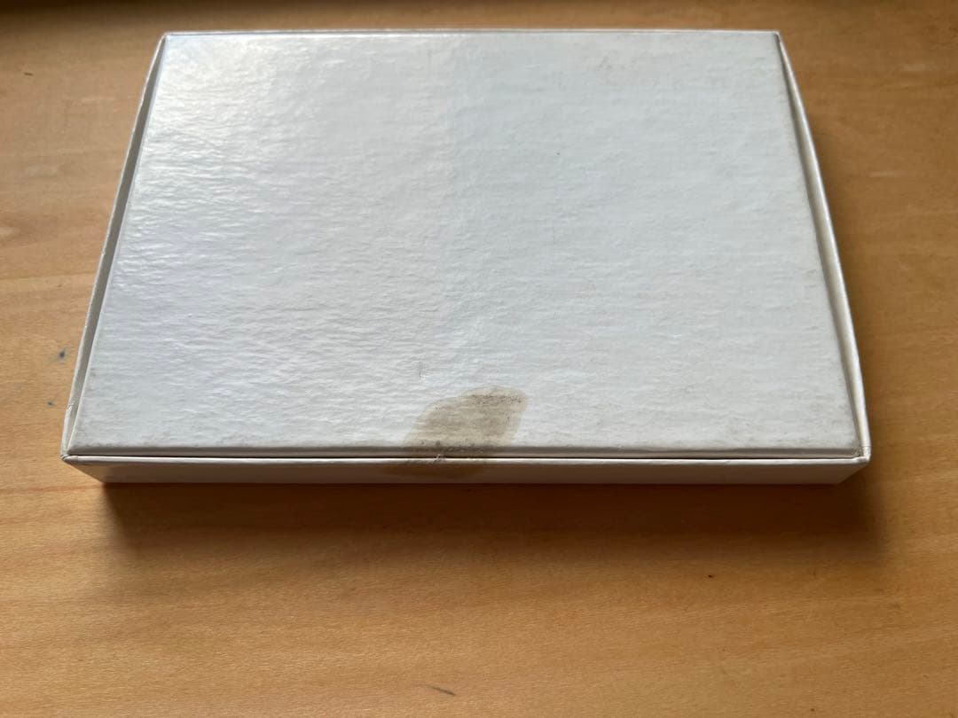 絶版　Ryan McGinley オリンピックスイマー