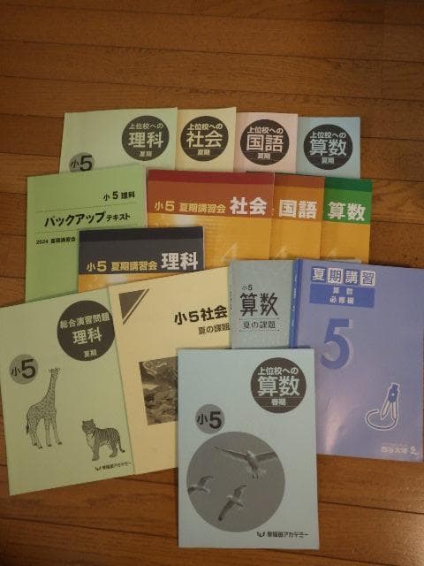 小5　早稲田アカデミー　2024年度　夏期講習会　上位校　バックアップテキスト