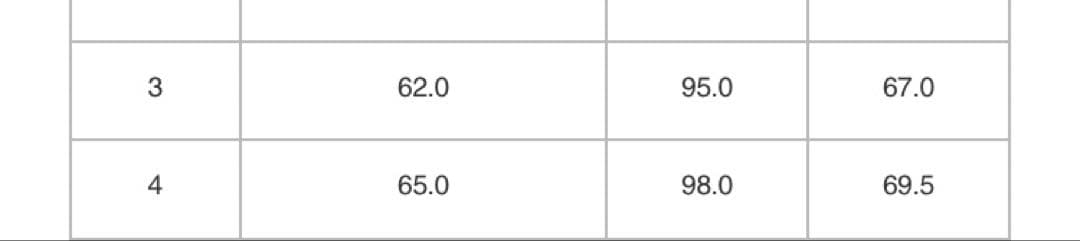 プリーツプリーズ　PLEATS PLEASE BASICS サイズ4