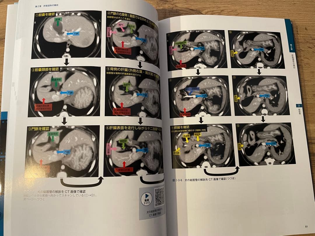 犬と猫の腹部超音波の描出レッスン　上　獣医　本