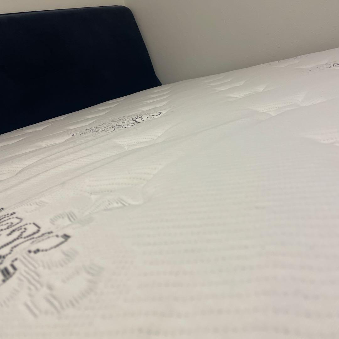 サータ ポスチャーベーシック 6.8 F1N ダブルサイズ