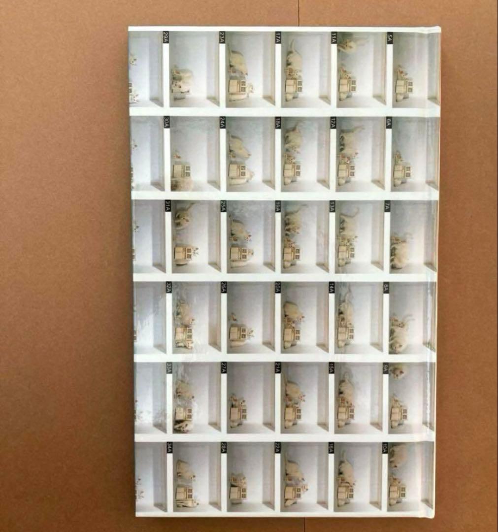 【新品 希少】カヒミカリィ リラックスライブラリー CD付きアートブック