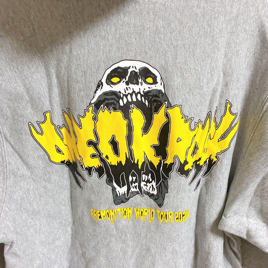 み*ー様 ONE OK ROCK 2024 ワールドツアー　パーカー　フーディ