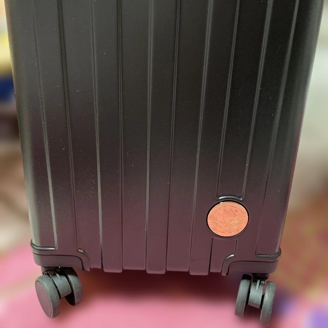 新品　HAPPY BAG ちはる しまむら アナ　キャリーケース　ディズニー