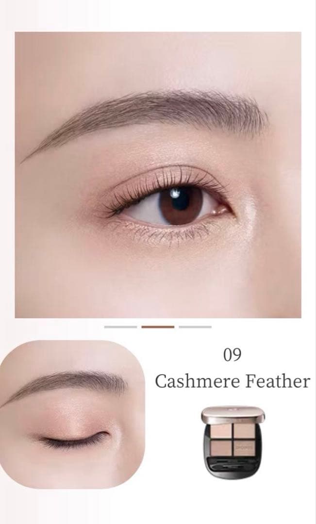 デコルテ / 【新品】スキンシャドウ デザイニング パレット09 セット