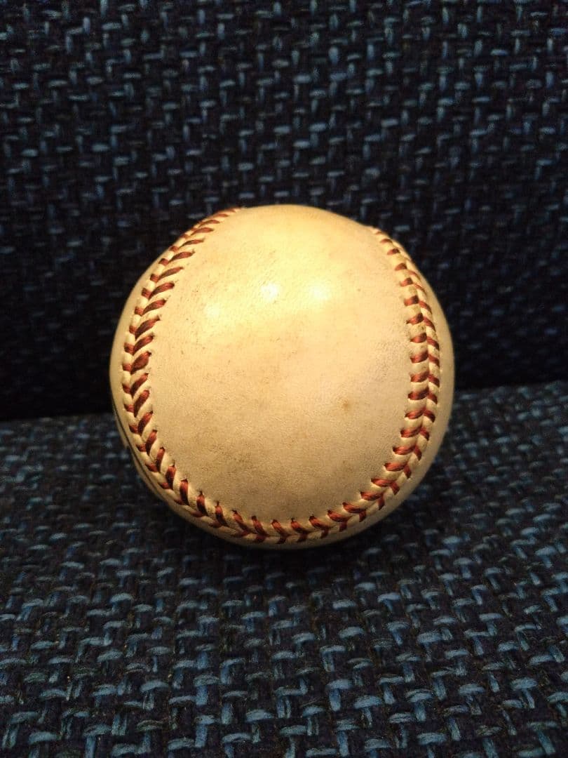 ウイニングボール星野仙一サイン入(レア物)