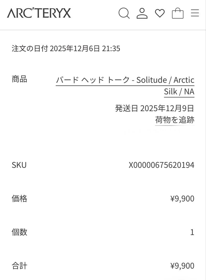 ARC'TERYX ニット帽 グレー