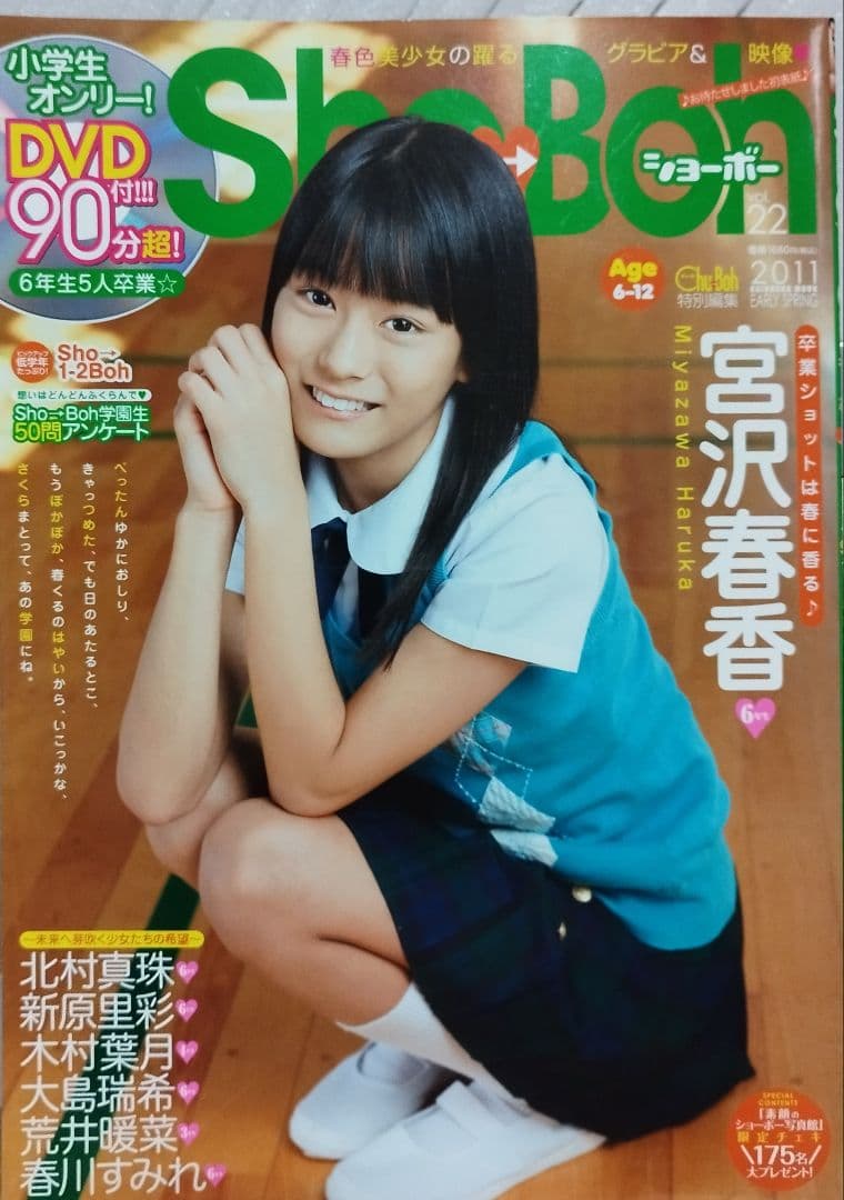 ShoBon 22号 2011年発行 DVD付き
