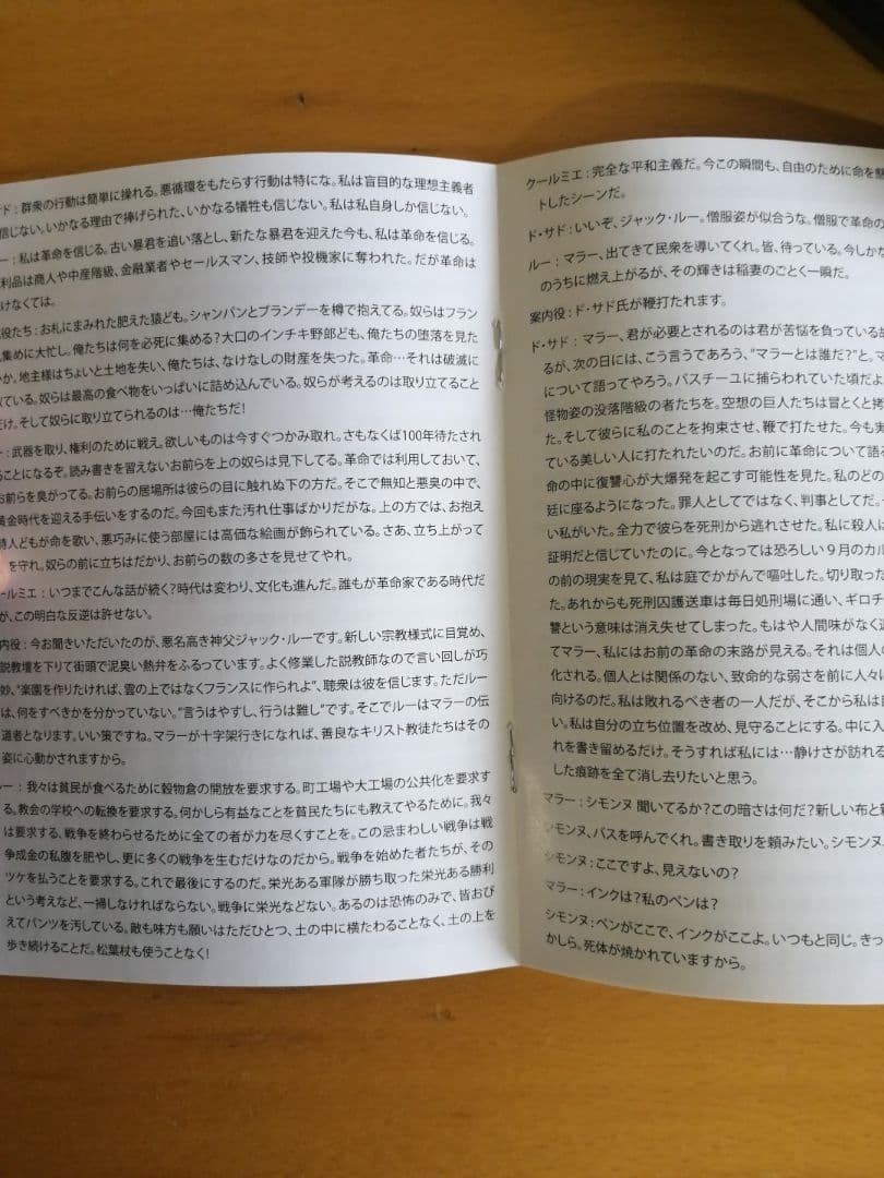 廃盤 マラー / サド DVD MARAT / SADE ピーターブルック