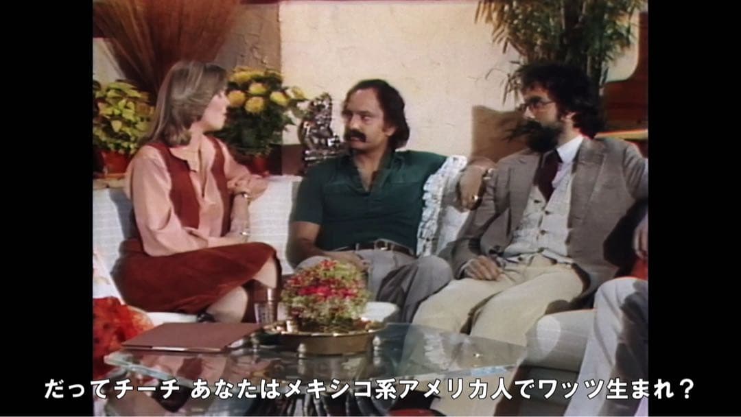 Cheech & Chong Last Movie チーチ& チョン 大麻