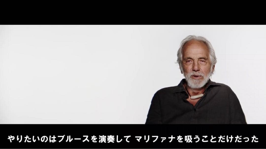 Cheech & Chong Last Movie チーチ& チョン 大麻