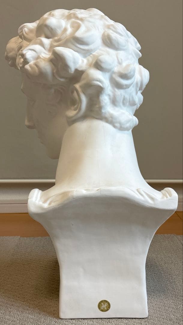 石膏像 ジュリアーノ・メディチ胸像 デッサン