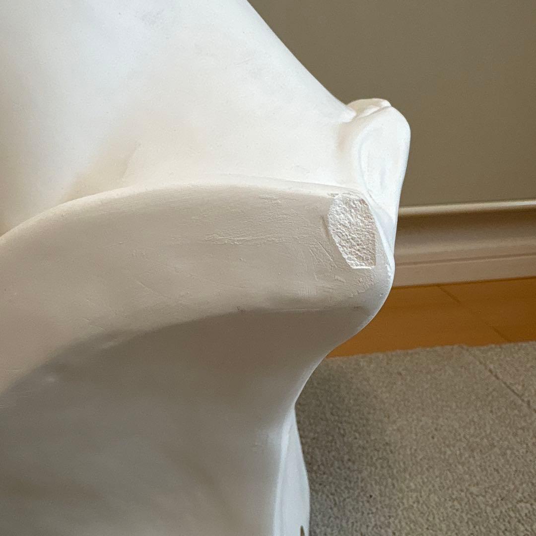 石膏像 ジュリアーノ・メディチ胸像 デッサン