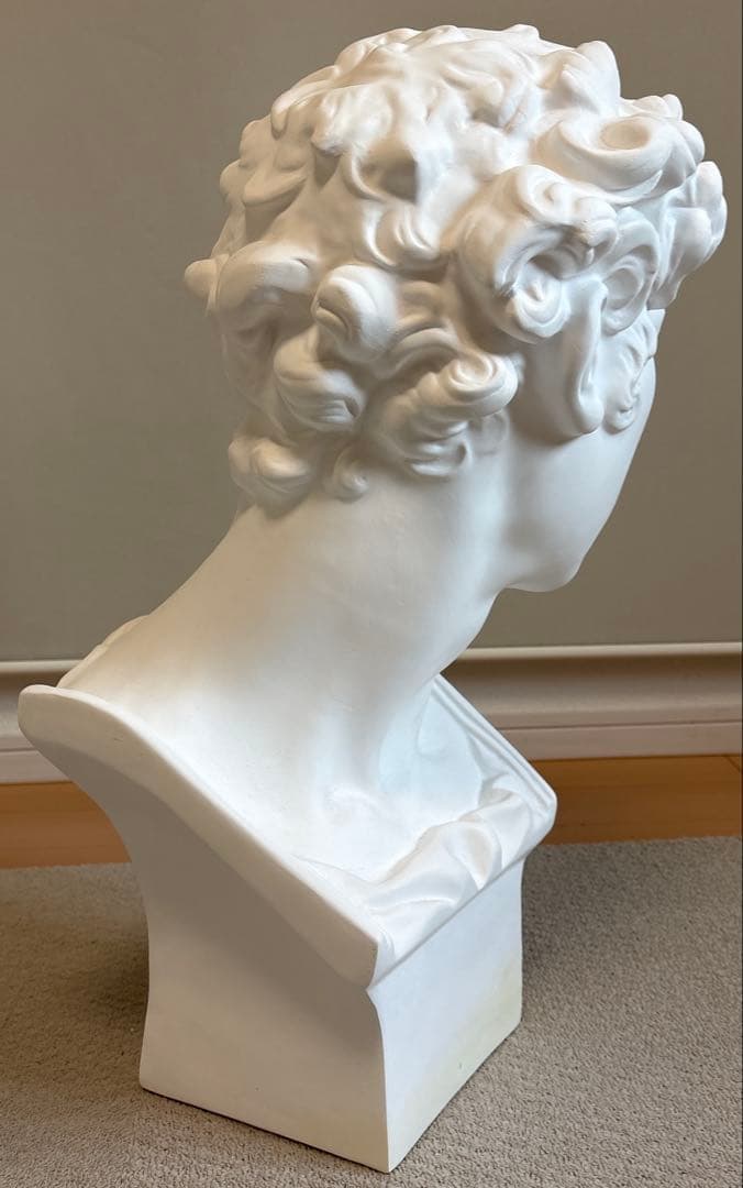 石膏像 ジュリアーノ・メディチ胸像 デッサン