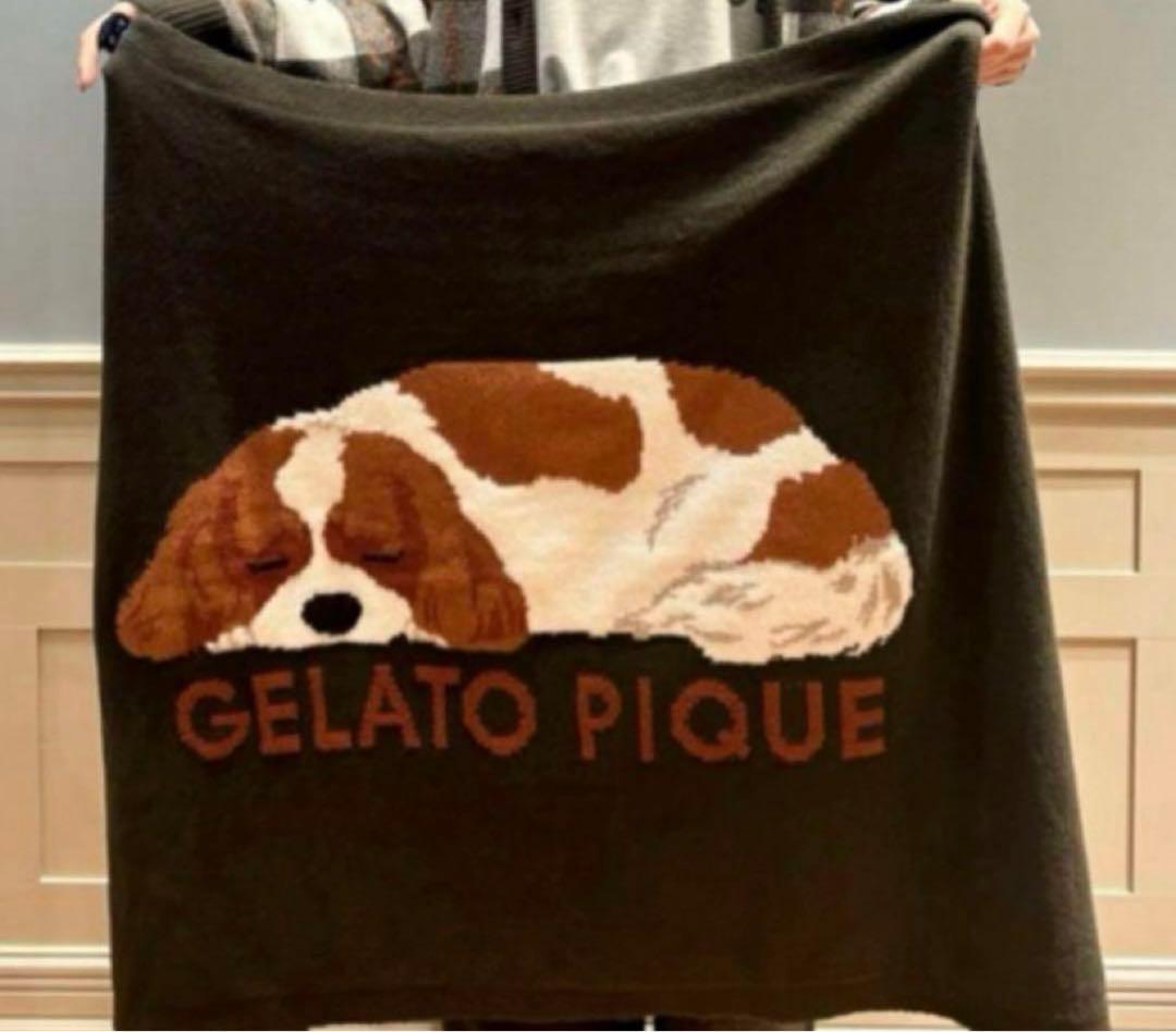 ジェラートピケ　ジャガードブランケット　キャバリアSLEEPING DOG