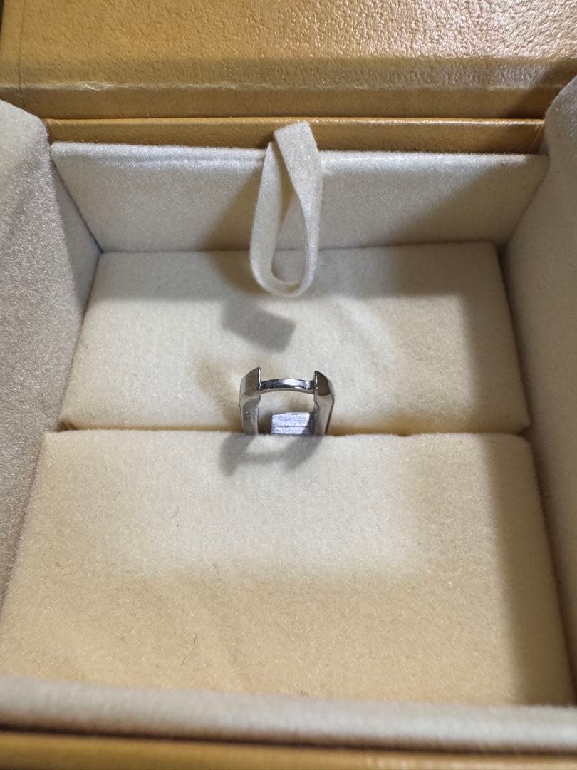 シルバー ステンレススチール ピアス(片耳用)