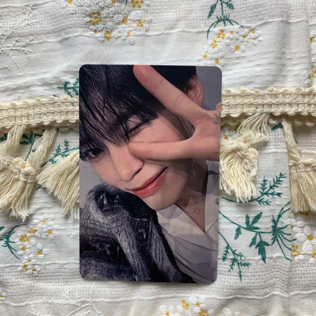 ZB1 B賞 あっち向いてホイ 勝ち トレカ ソンハンビン