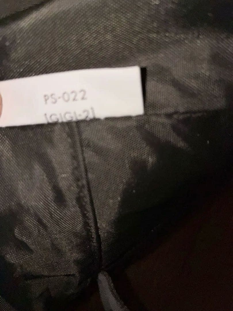 ZANE ARTS GIGI2 PS022 セット