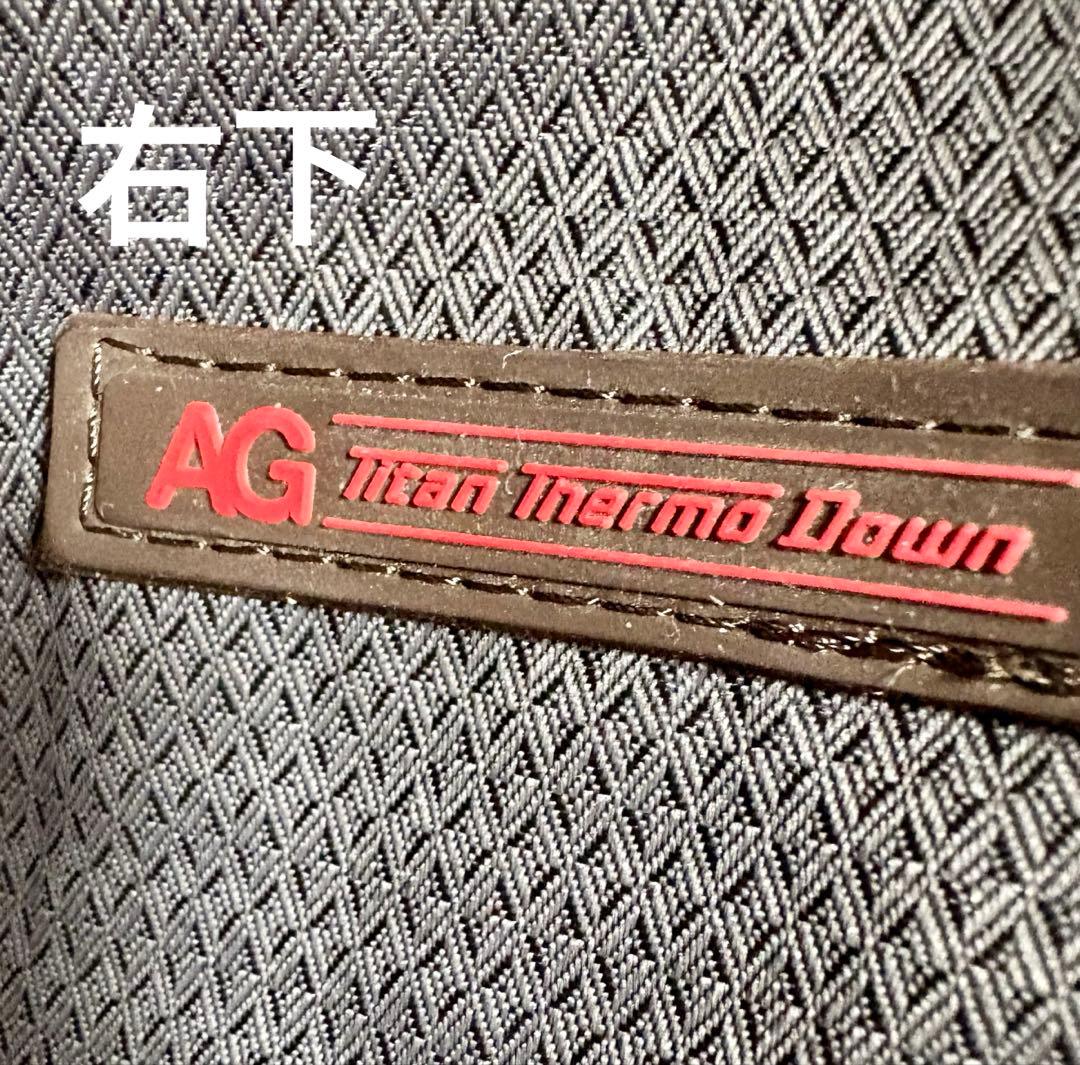 デサントDESCENT スキーウェア　スノボウェア<ダウンジャケット>メンズ　L