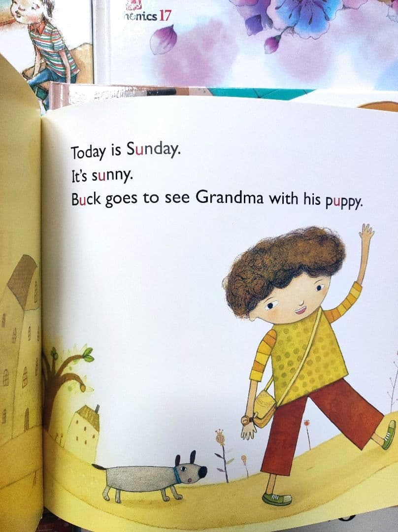 英語絵本　英語の絵本　25冊　CD6枚　ストーリー 　フォニックス