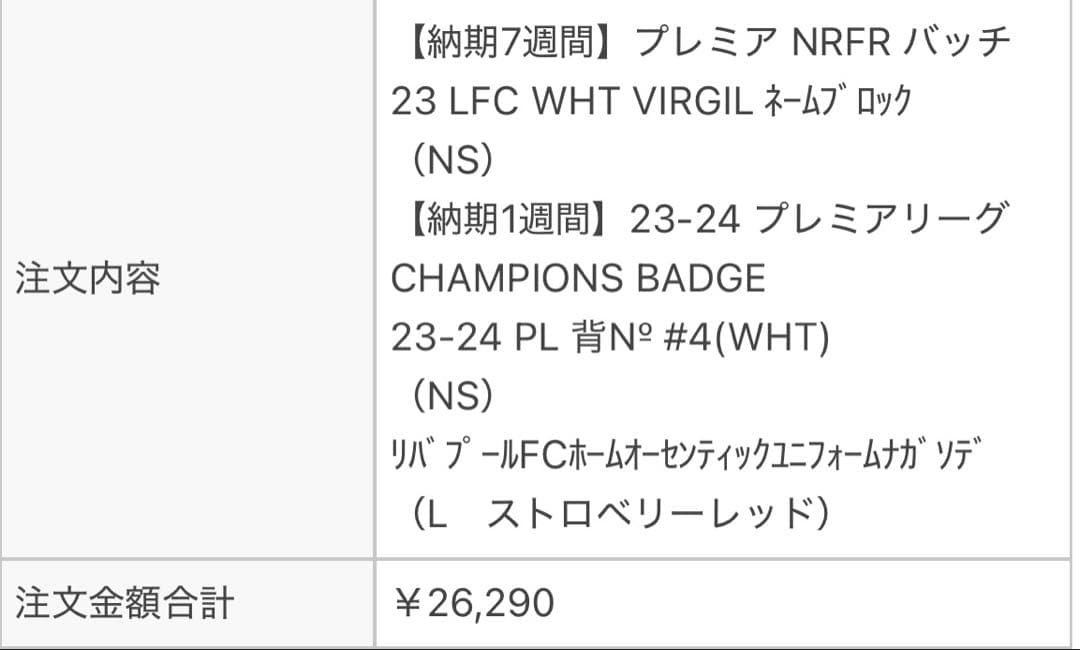 【正規品】リヴァプール　長袖オーセン　ファンダイク