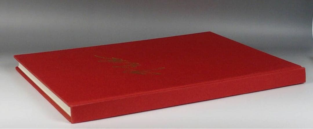 ★【　牛克思　石彫作品集　】中国語　中国美術学院出版社　豪華写真集　STONE★