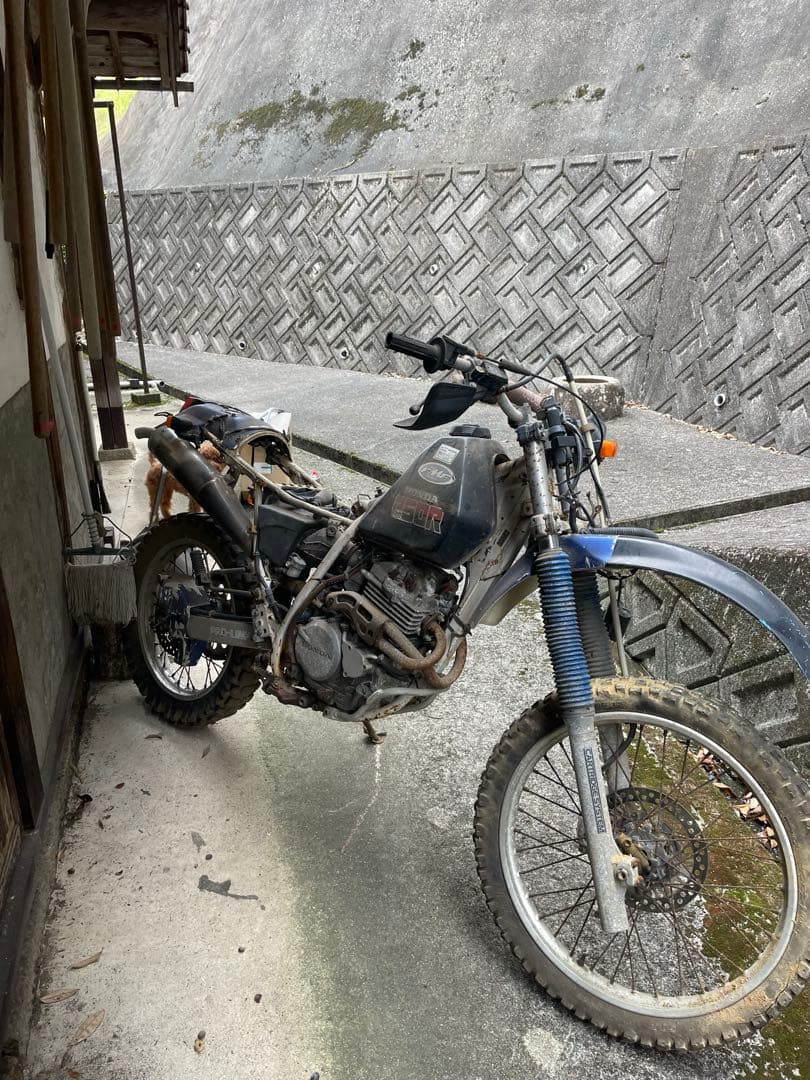 xlr250r マフラー　社外　rsv