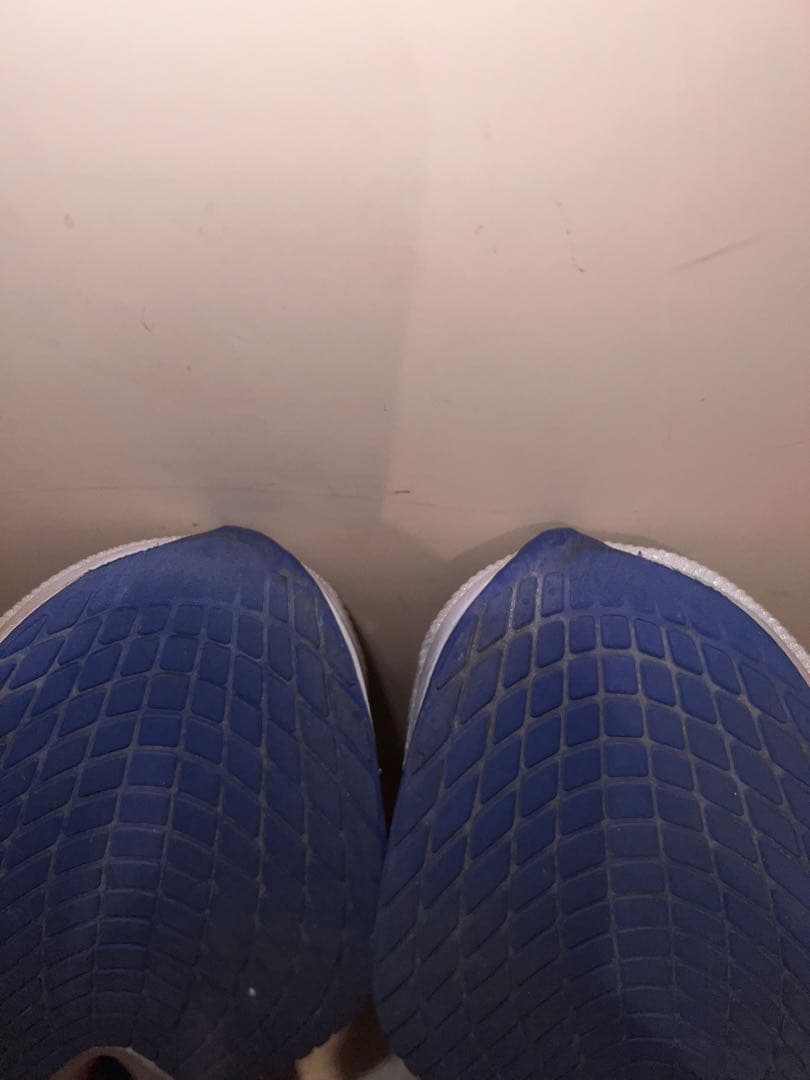 NIKE ヴェイパーフライ4 27.5