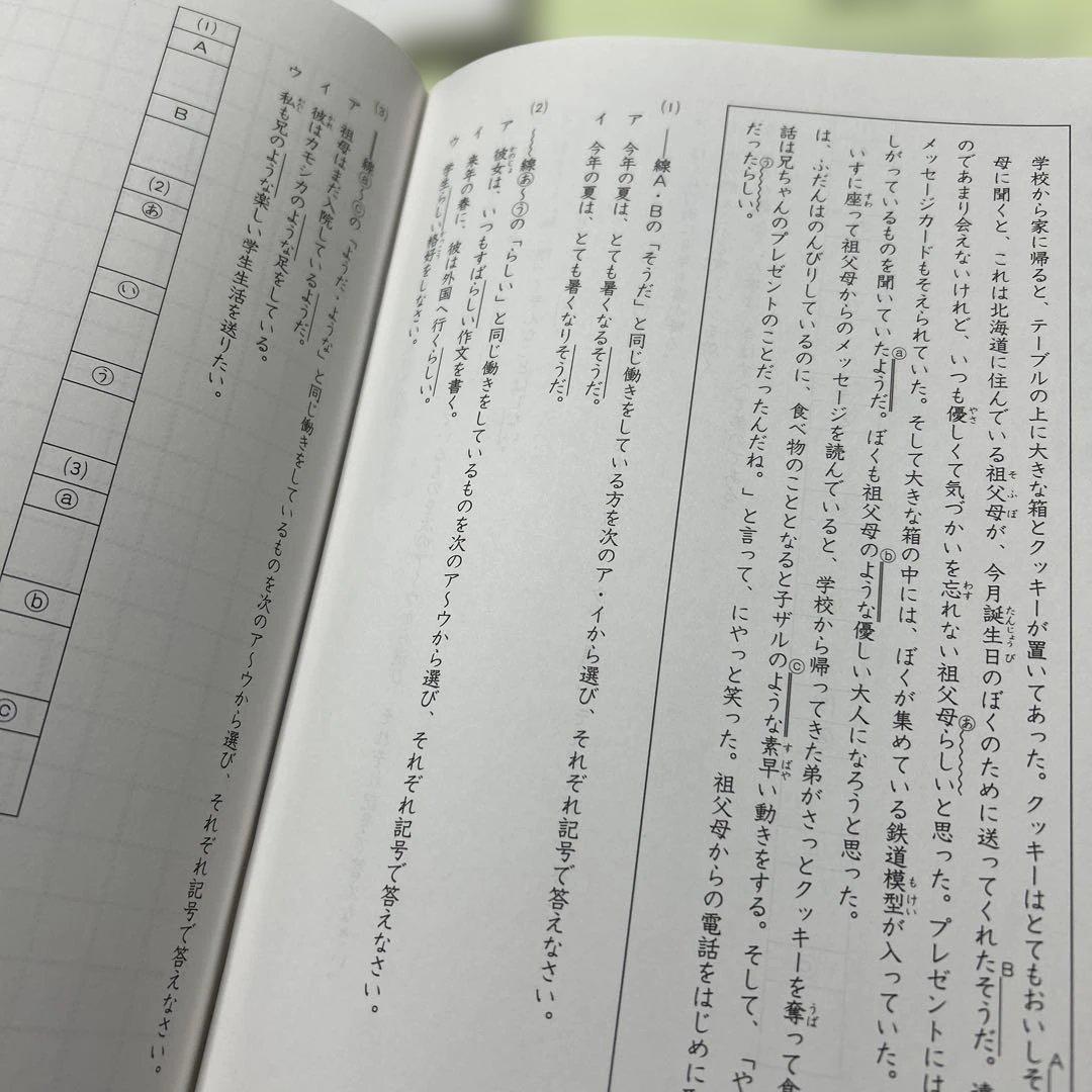 ㉑Ｂ　サピックス　SAPIX 国語 Aテキスト　基礎度実戦