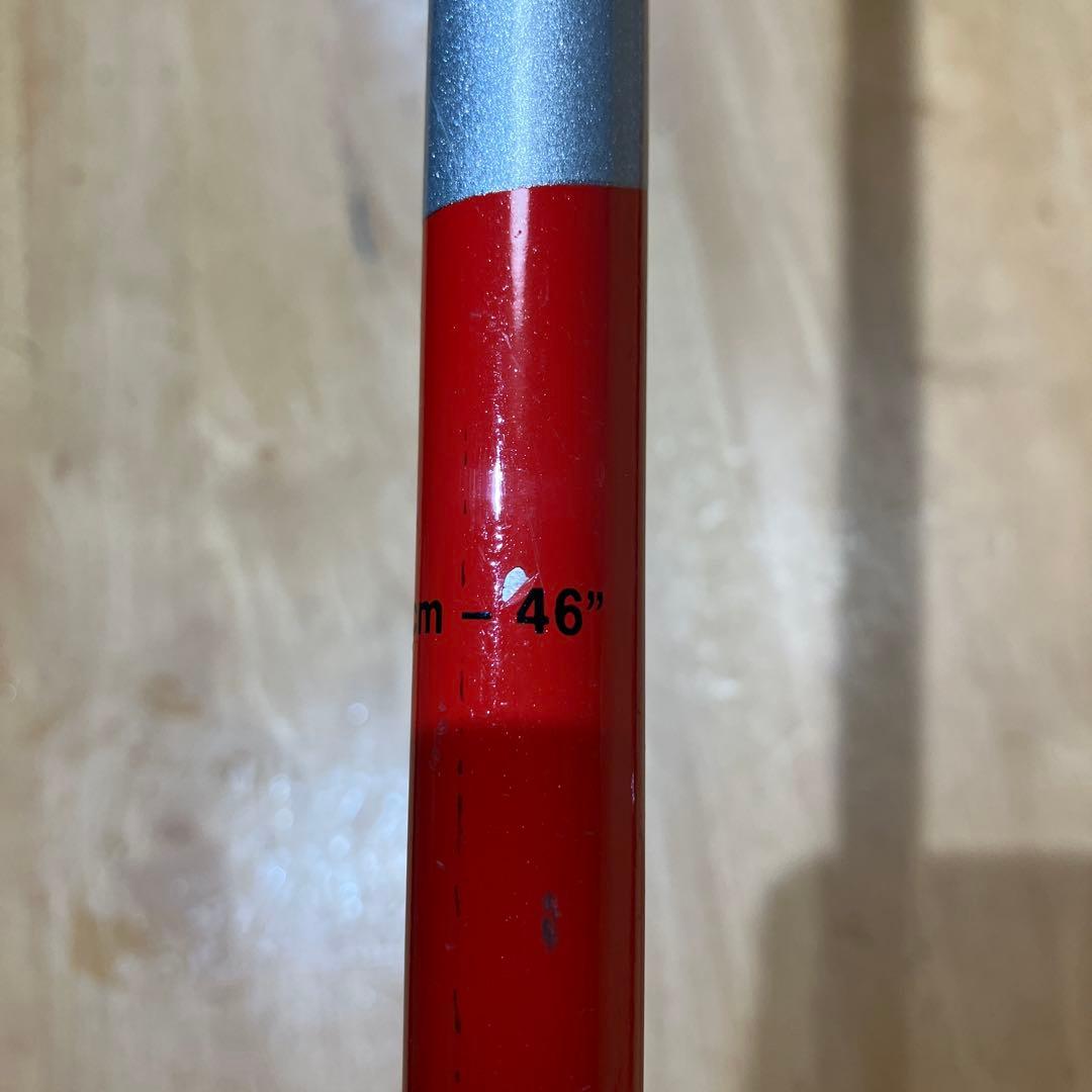 LEKI ストックSLパンチガード　115cm