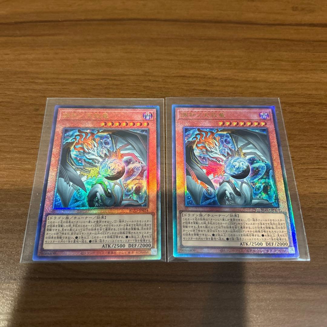 調和ノ天救竜　レリーフ2枚