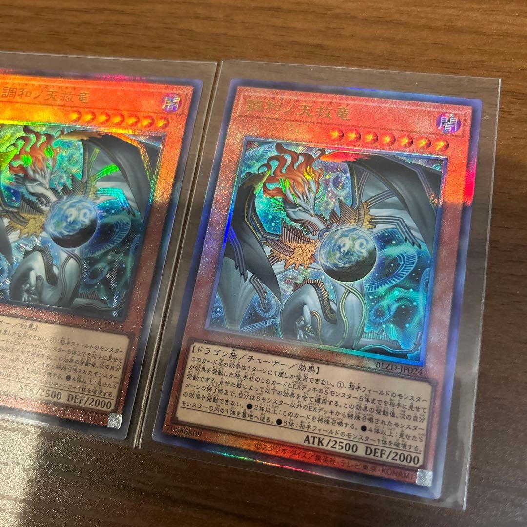 調和ノ天救竜　レリーフ2枚