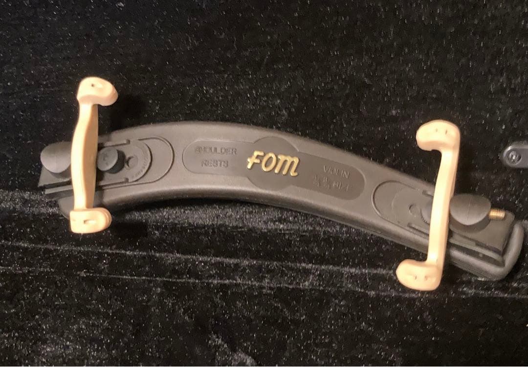 10/13までの価格！カルロジョルダーノバイオリンVS-14/4サイズ