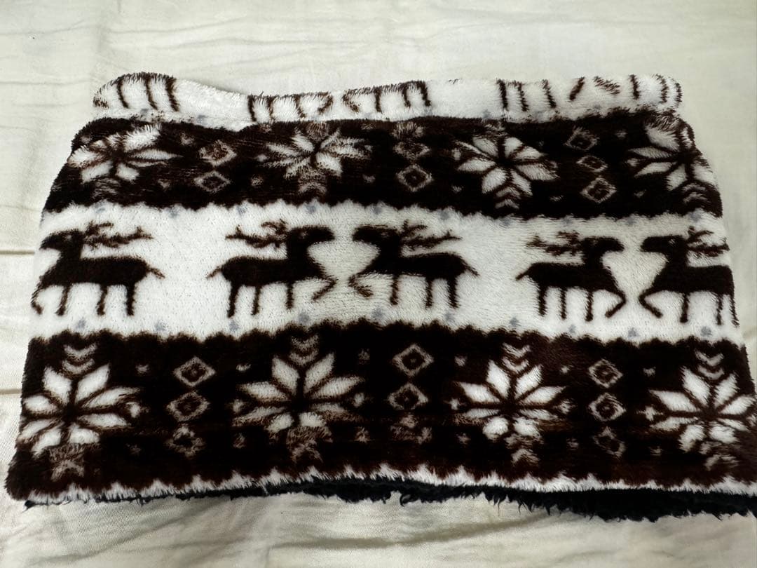 スノーボードウエア 等 レディース セット