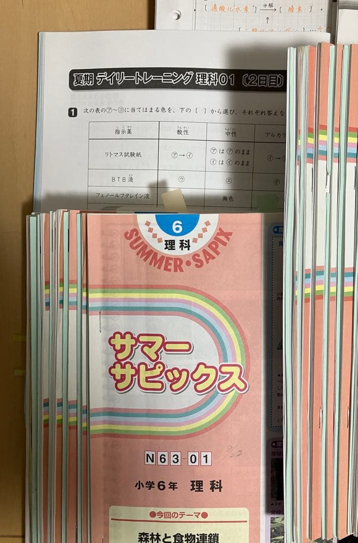 小6 理科 デイリーサピックス 24回分+春期講習•夏期講習 ウィークリーサピ他