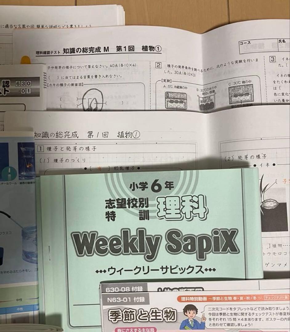小6 理科 デイリーサピックス 24回分+春期講習•夏期講習 ウィークリーサピ他