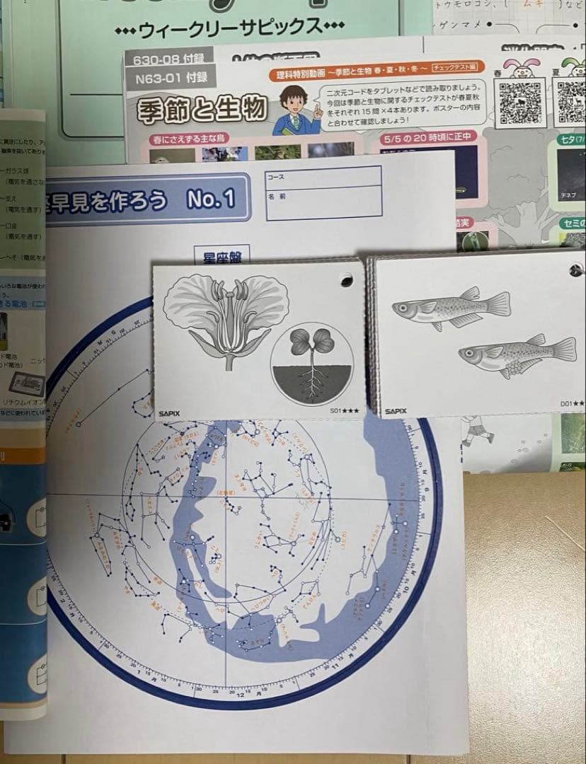 小6 理科 デイリーサピックス 24回分+春期講習•夏期講習 ウィークリーサピ他