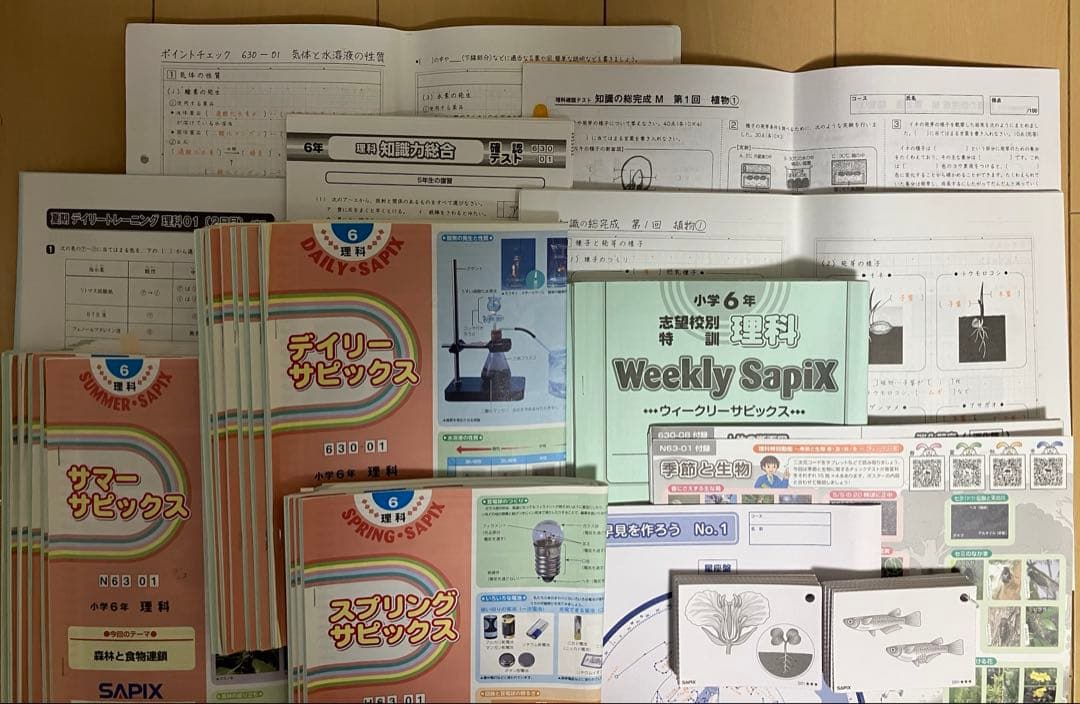 小6 理科 デイリーサピックス 24回分+春期講習•夏期講習 ウィークリーサピ他