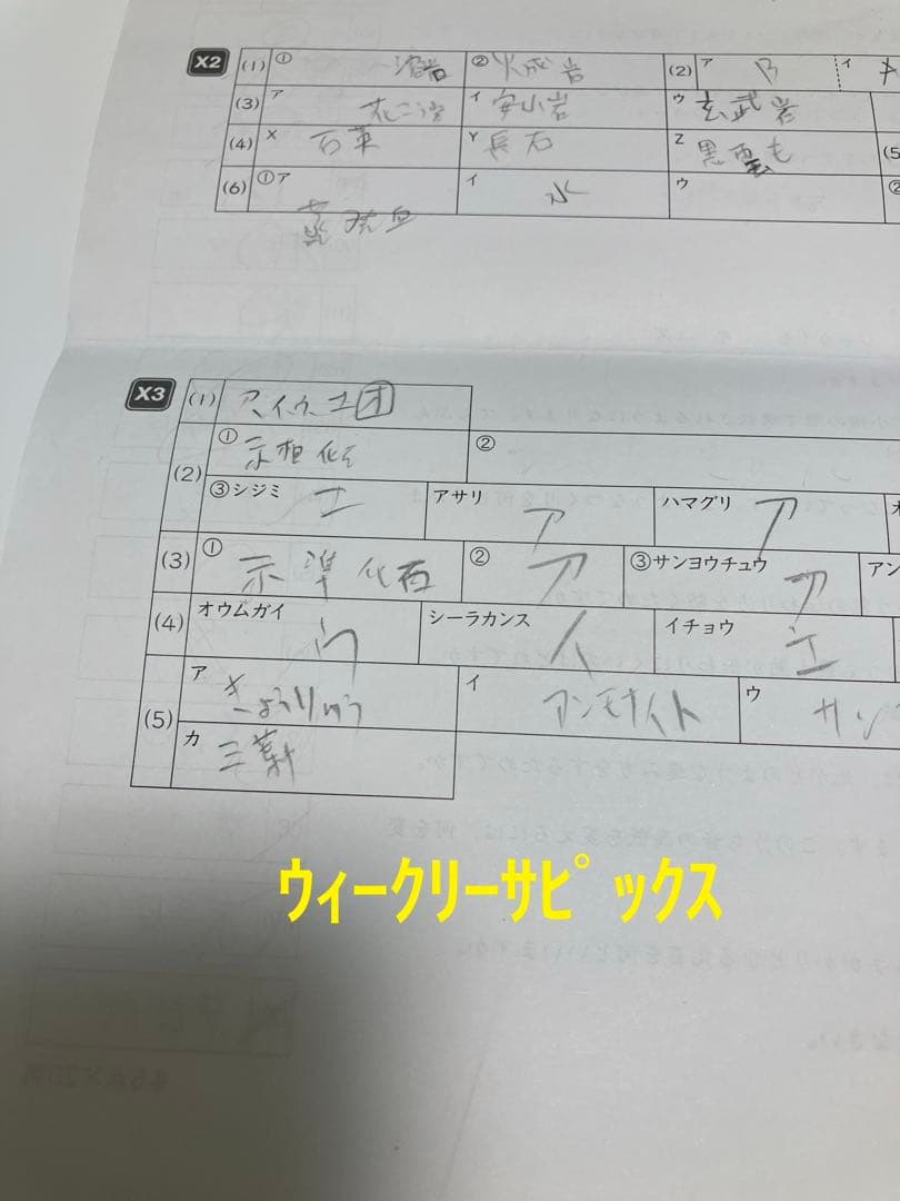 小6 理科 デイリーサピックス 24回分+春期講習•夏期講習 ウィークリーサピ他