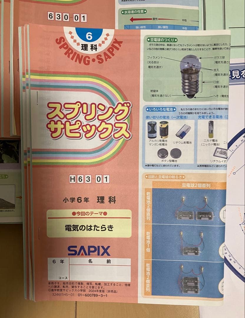 小6 理科 デイリーサピックス 24回分+春期講習•夏期講習 ウィークリーサピ他