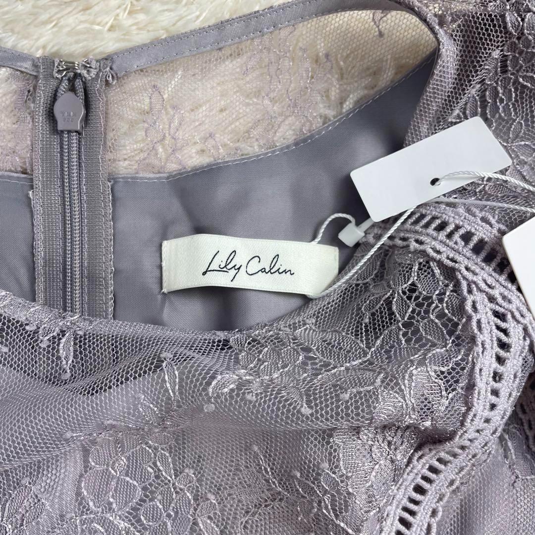 新品タグ付　anysis 洗えるパネルレースドレス　結婚式