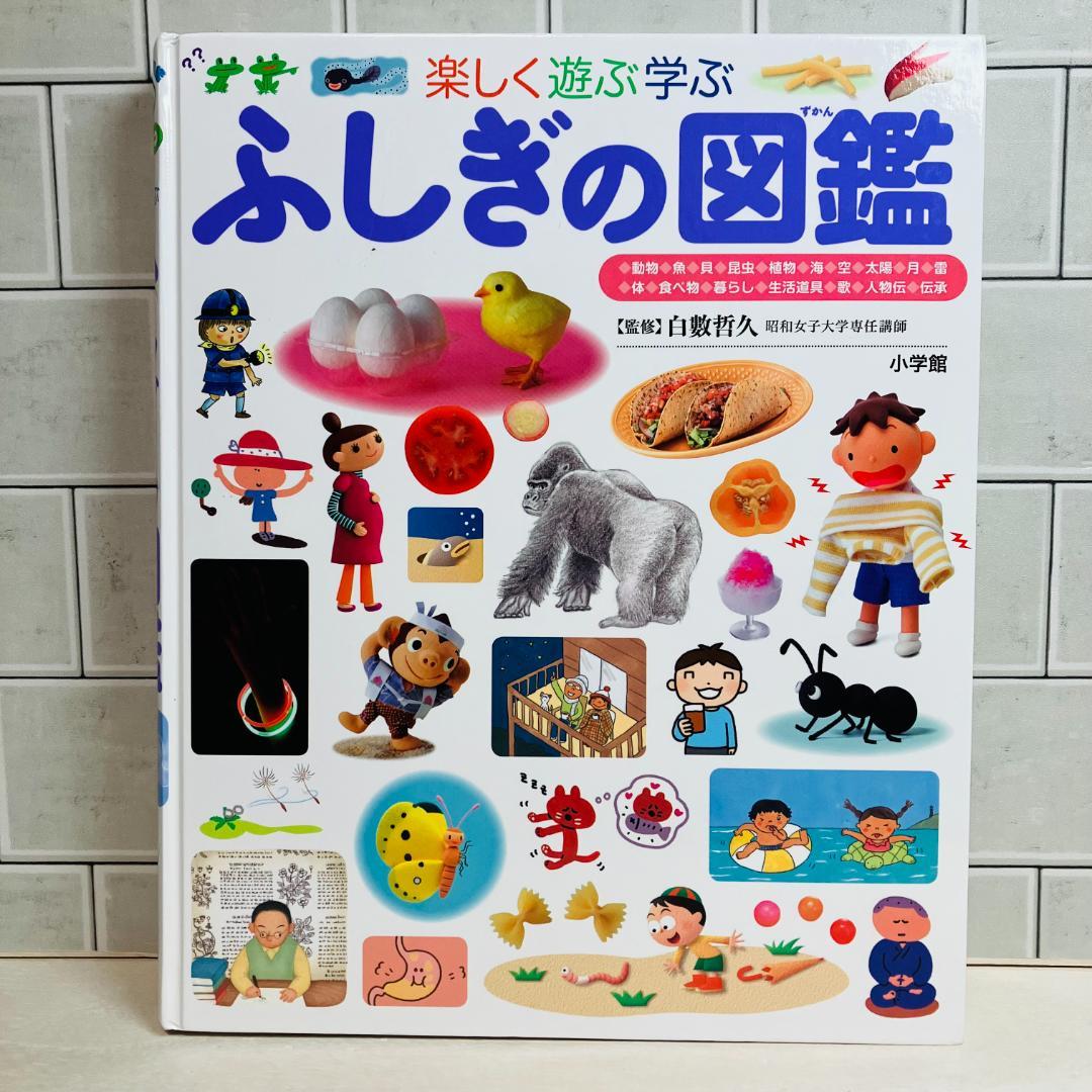 【flfalo】図鑑12冊セット