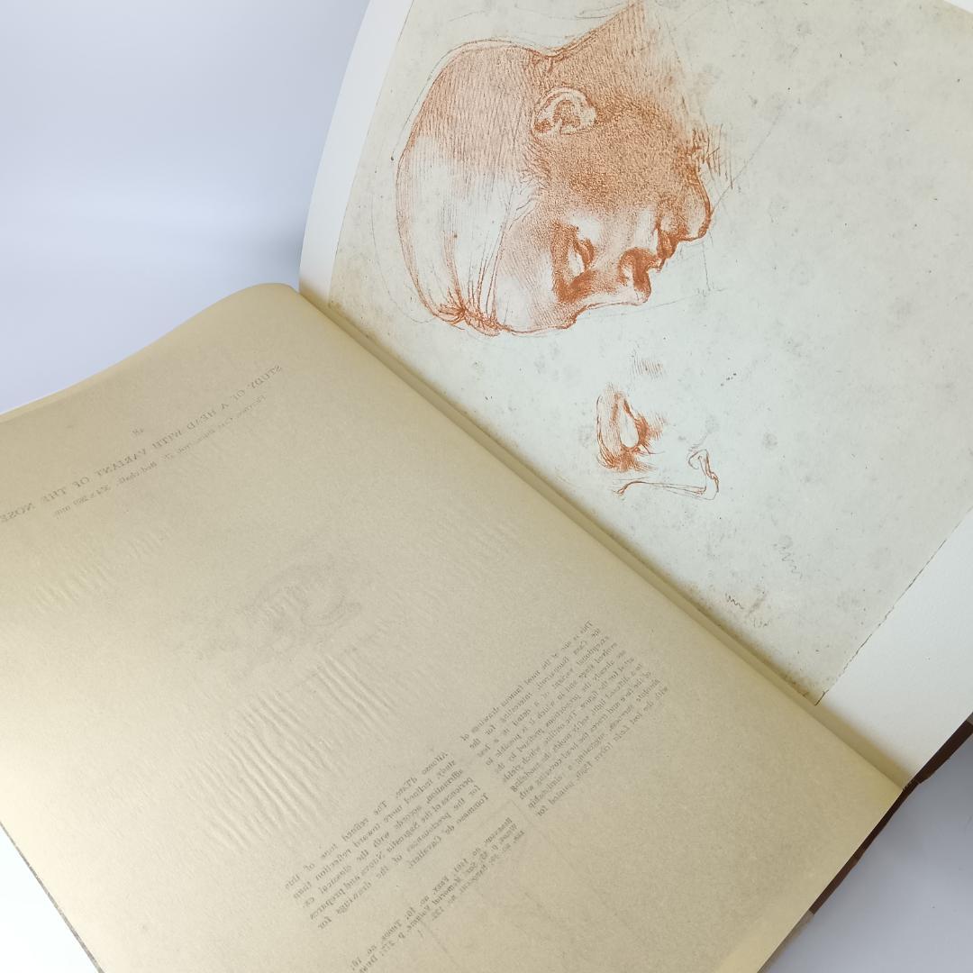 入手困難 大型本 ミケランジェロ デッサン画集 1965年 素描 図録