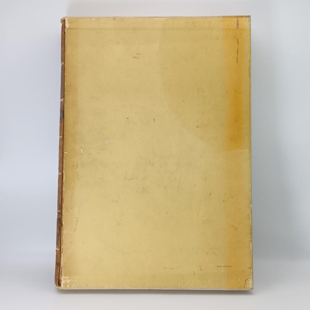 入手困難 大型本 ミケランジェロ デッサン画集 1965年 素描 図録