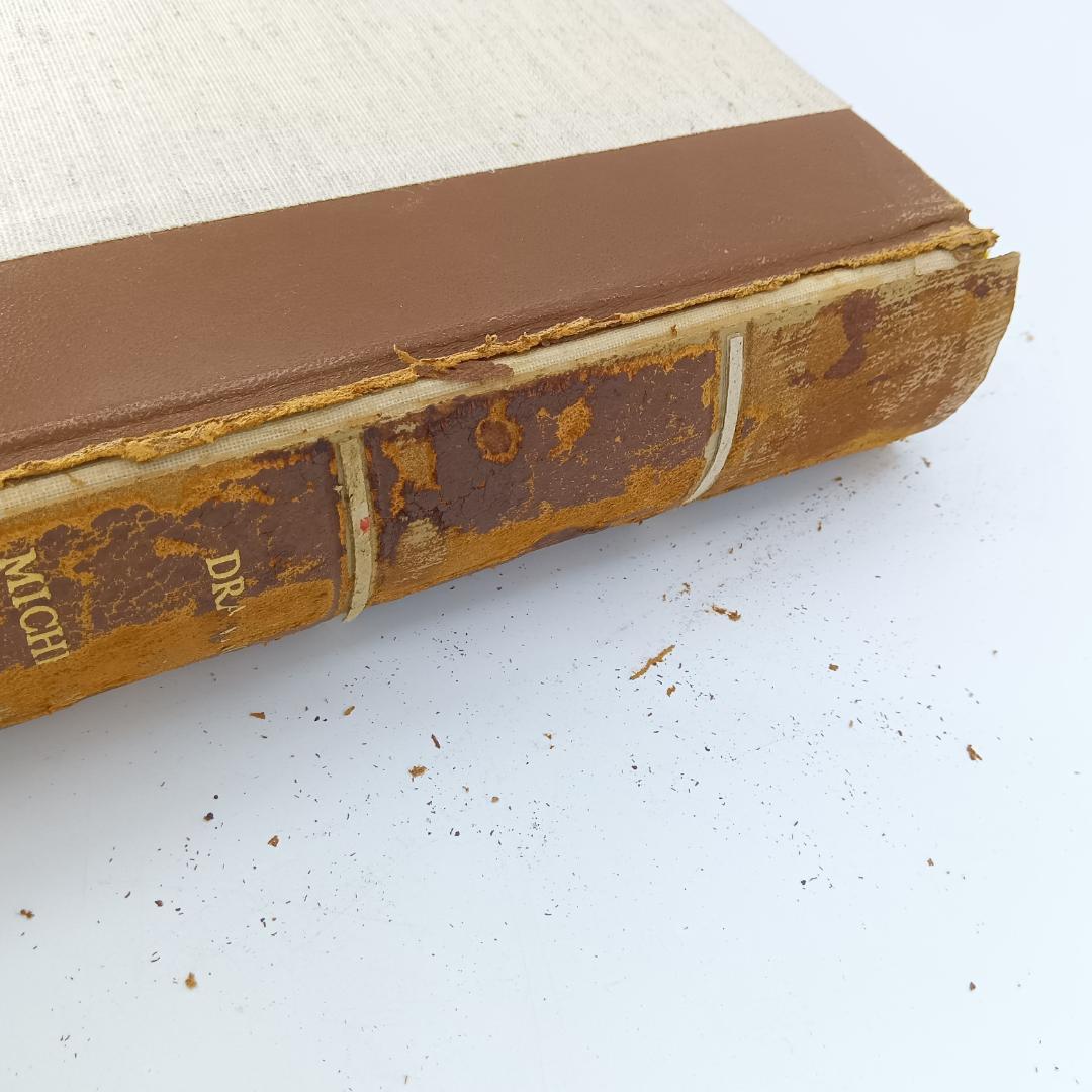 入手困難 大型本 ミケランジェロ デッサン画集 1965年 素描 図録