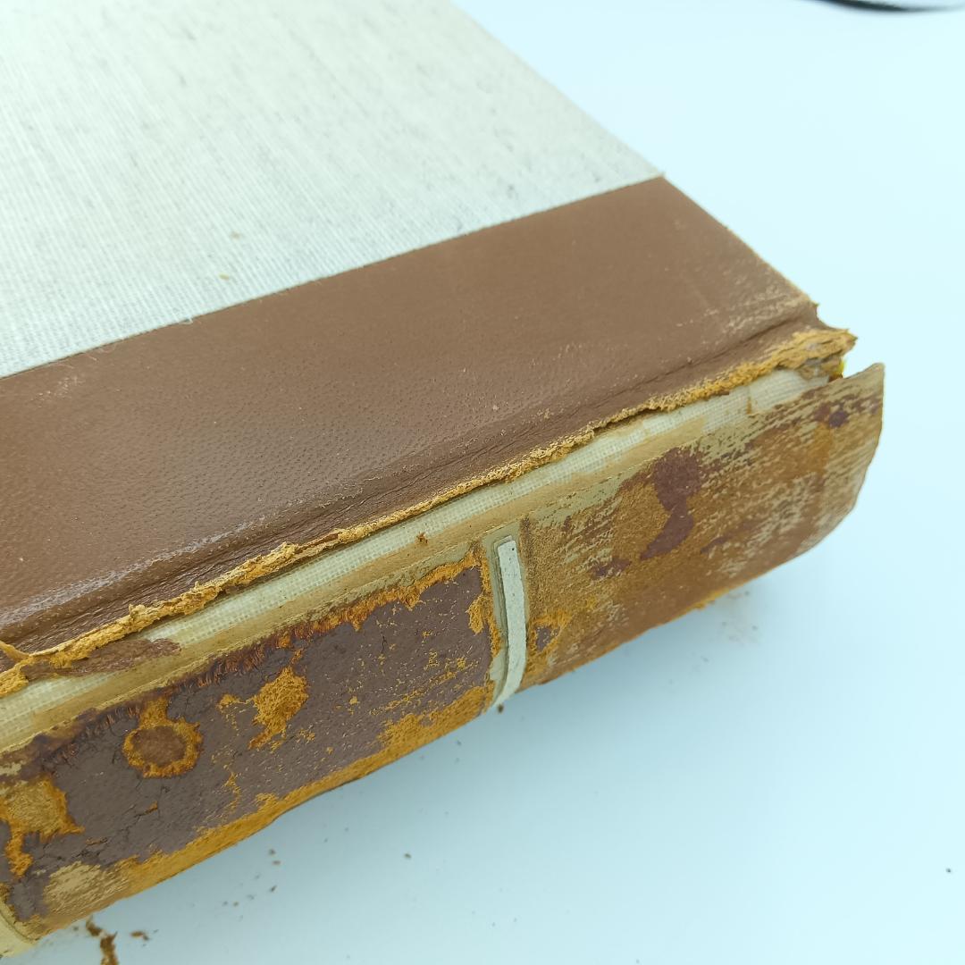 入手困難 大型本 ミケランジェロ デッサン画集 1965年 素描 図録