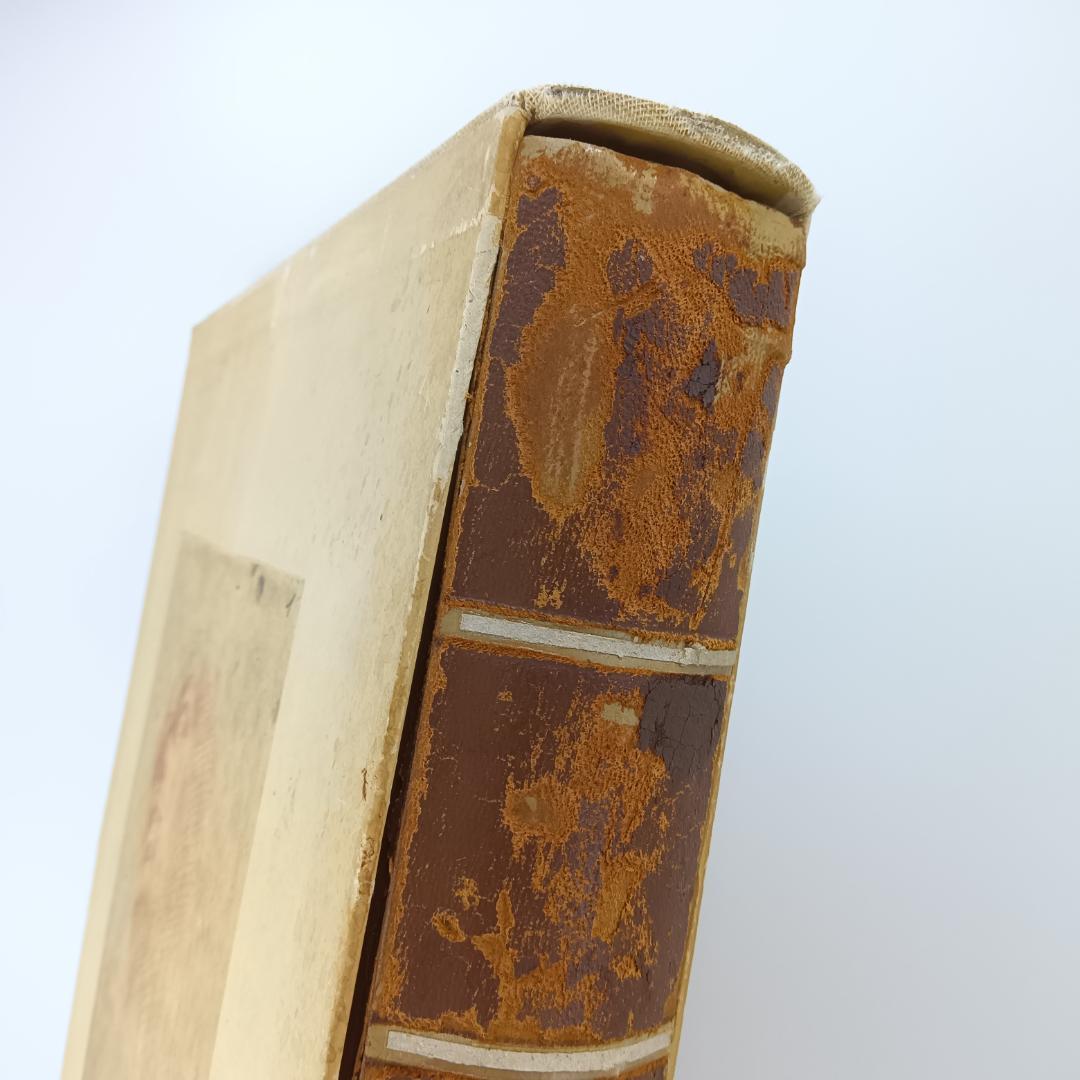 入手困難 大型本 ミケランジェロ デッサン画集 1965年 素描 図録