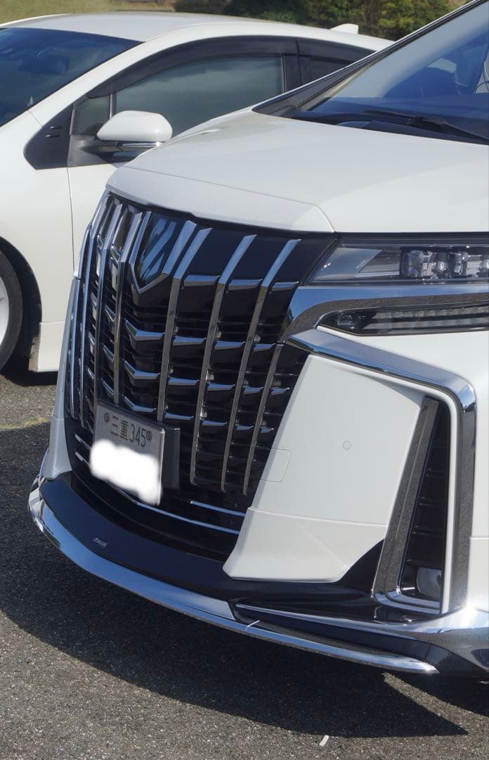 gaku⭐️ アルファード　30 フードトップモール　070　同色　後期