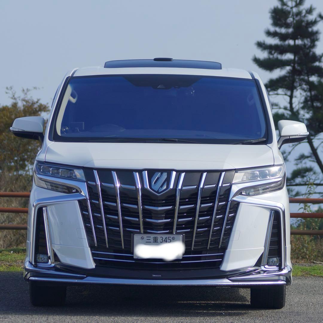 gaku⭐️ アルファード　30 フードトップモール　070　同色　後期