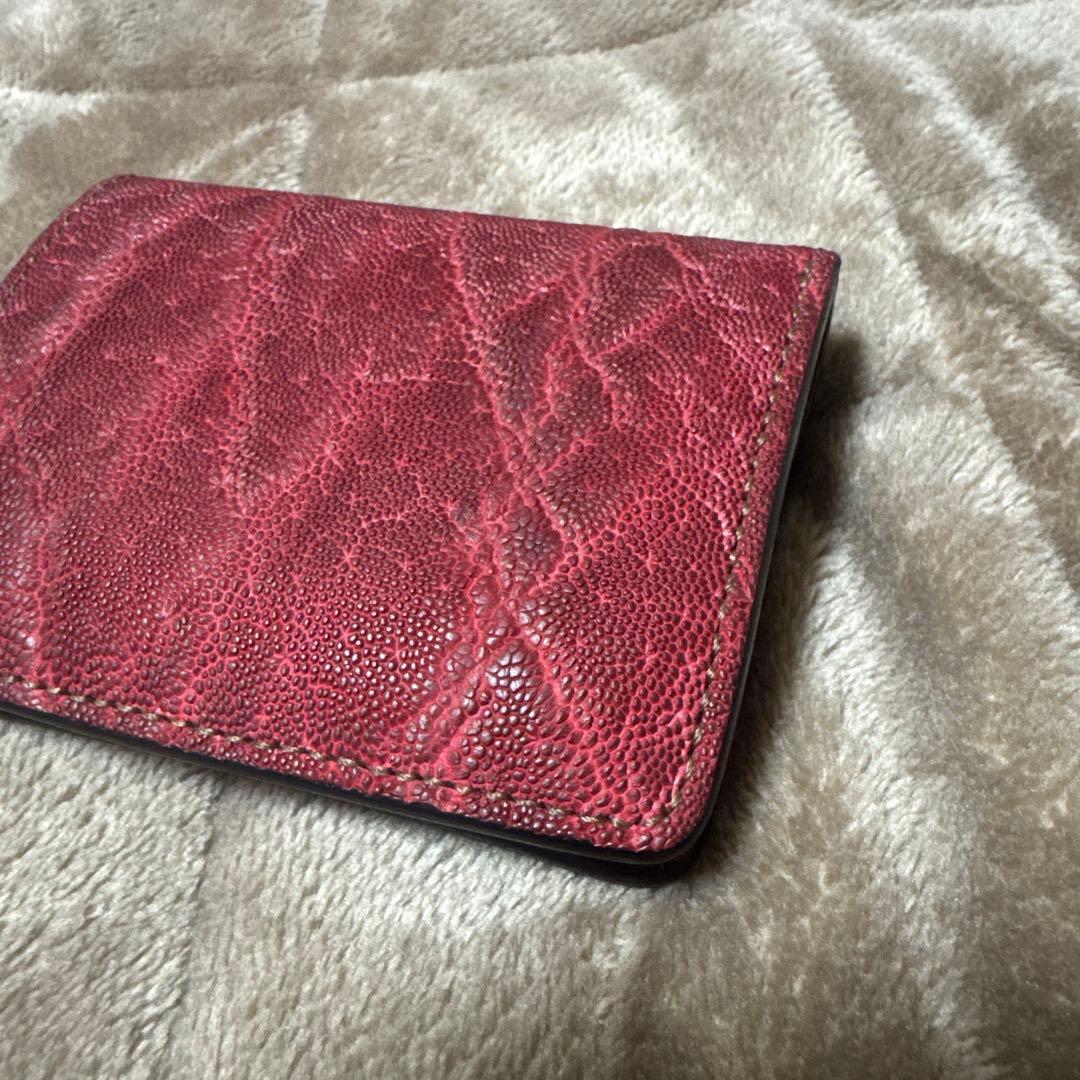 WILDSWANS kf-003 エレファント　ワイルドスワンズ